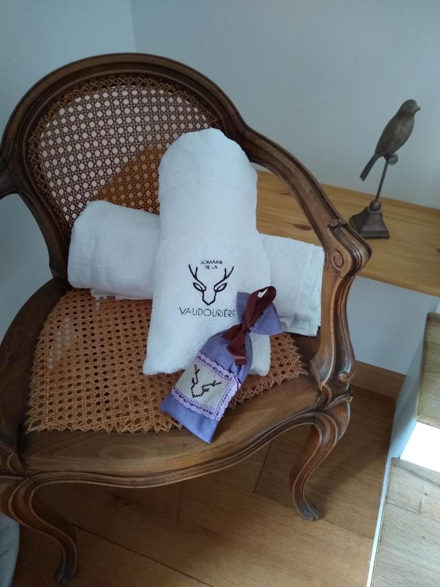 Domaine De La Vaudouriere Villa Lunay Szoba fotó